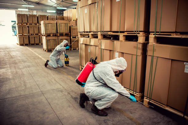 Best Flea Control Services  in West Salem, OH