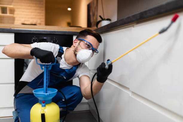 Best Emergency Pest Control  in West Salem, OH