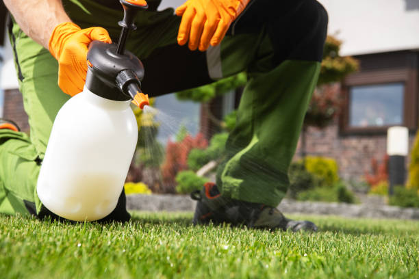 Best Wildlife Control Services  in West Salem, OH