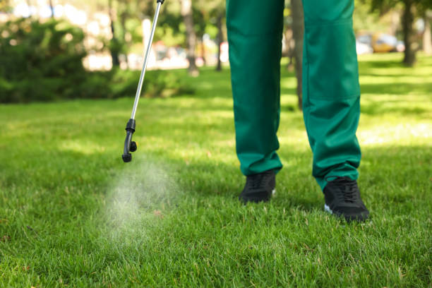 Best Pest Control Near Me in West Salem, OH