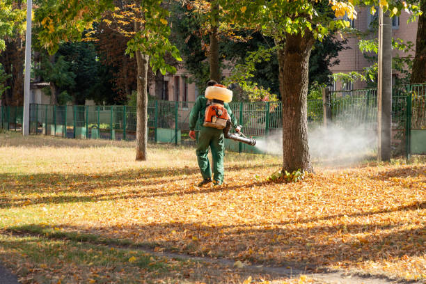 Trusted West Salem, OH Pest Control Experts