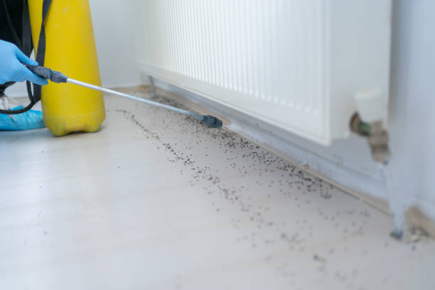 Best Exterminator Services  in West Salem, OH